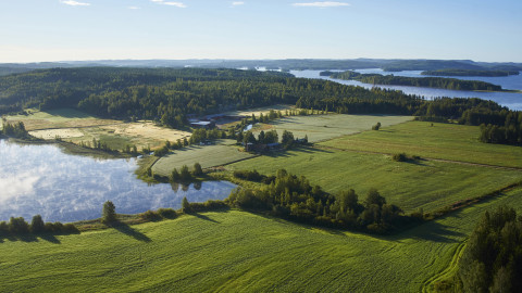 Iloniemi pelto ja järvimaisema. Kuva Visit Jyväskylä Region