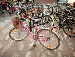 Pysäköityjä polkupyöriä. Image Hanna-Kaisa Hämäläinen